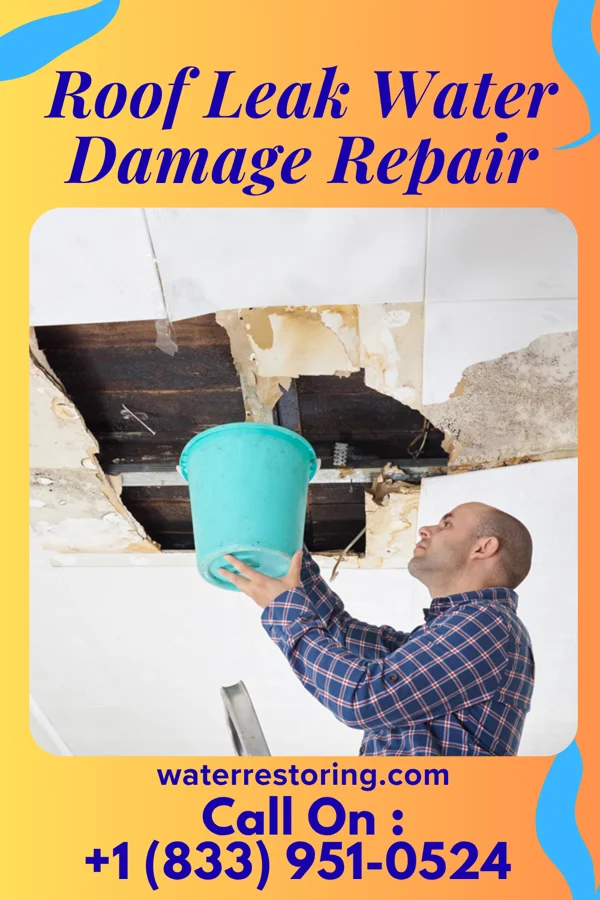 Roof Leak Water Damage Repair in Udall, KS