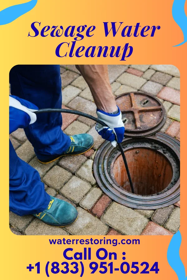 Sewage Water Cleanup in Udall, KS